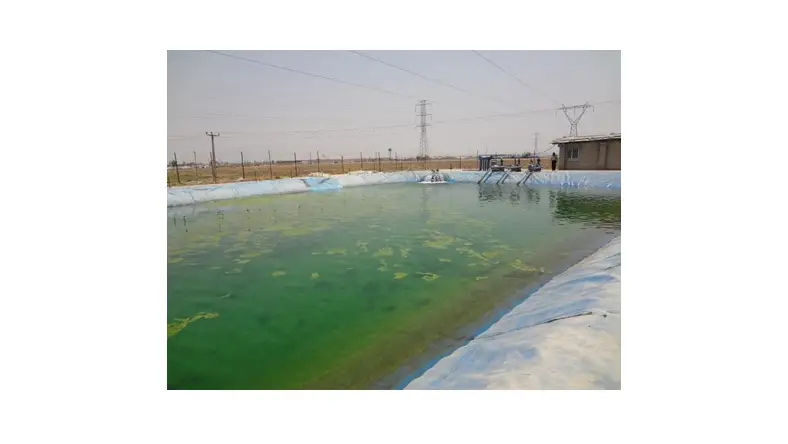 نحوه ساخت استخر پرورش ماهی کپور