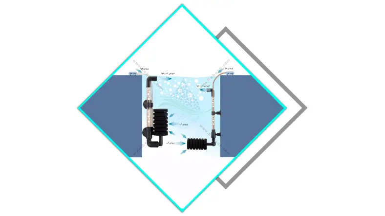 کاربرد بیو فیلتر آکواریوم پرورش ماهی