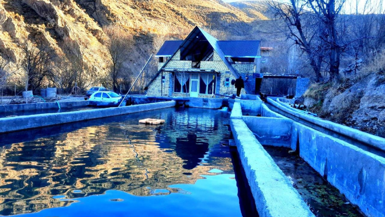 استخر پرورش ماهی قزل آلا در مشهد