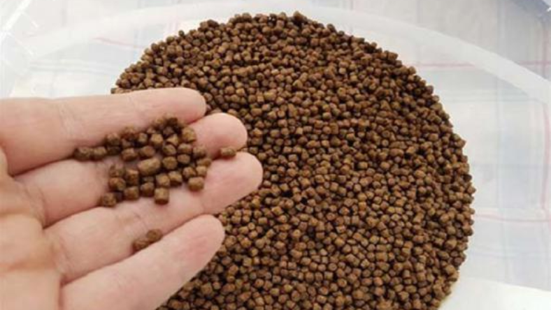 جو برای ماهی کپور