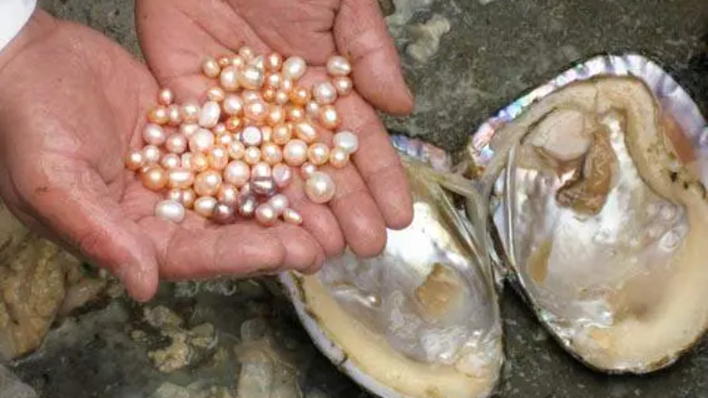 مروارید در چشم ماهی