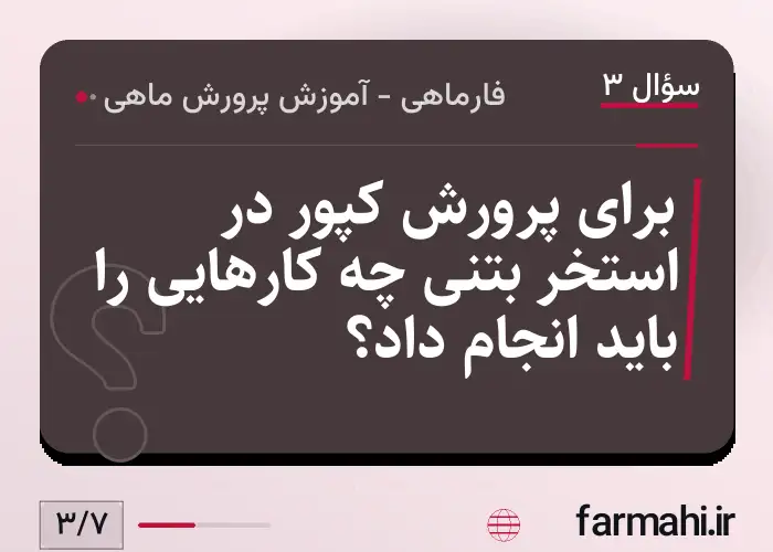 برای پرورش کپور در استخر بتنی چه کارهایی را باید انجام داد؟