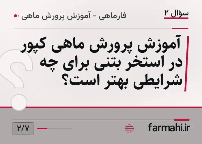 آموزش پرورش ماهی کپور در استخر بتنی برای چه شرایطی بهتر است؟