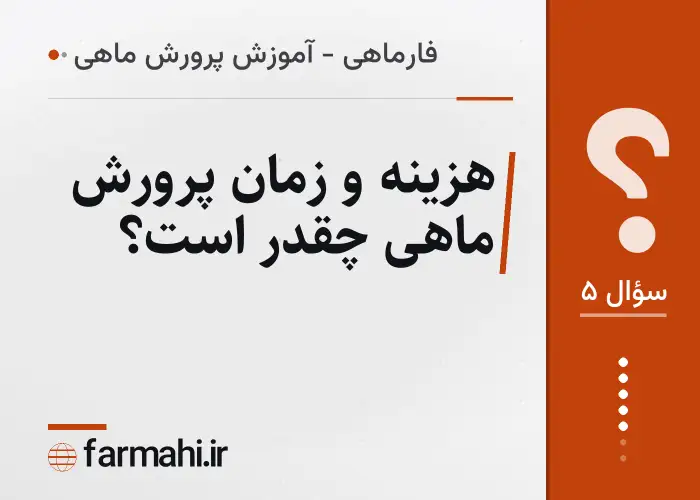هزینه و زمان پرورش ماهی چقدر است؟