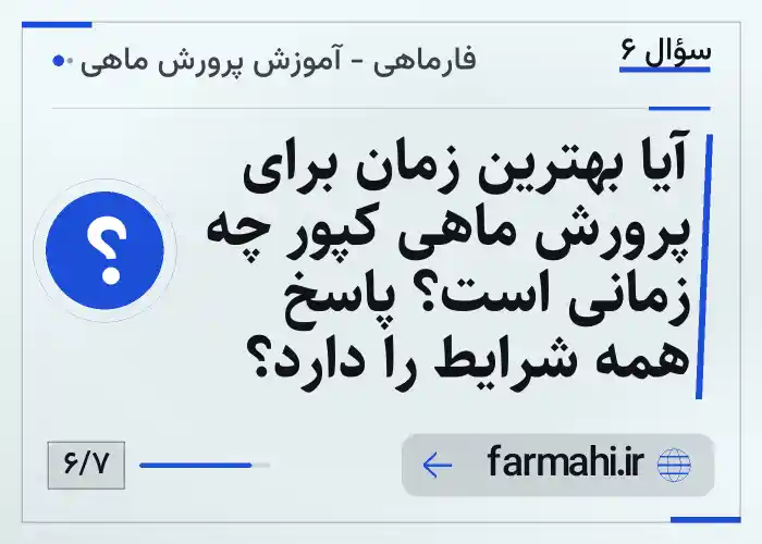 آیا بهترین زمان برای پرورش ماهی کپور چه زمانی است؟ پاسخ همه شرایط را دارد؟