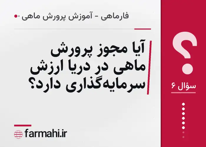 آیا مجوز پرورش ماهی در دریا ارزش سرمایه‌گذاری دارد؟