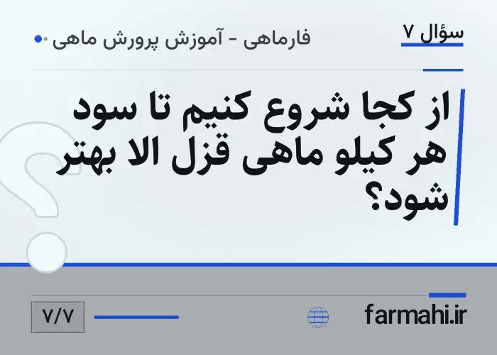 از کجا شروع کنیم تا سود هر کیلو ماهی قزل الا بهتر شود؟