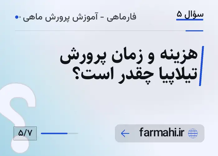 هزینه و زمان پرورش تیلاپیا چقدر است؟