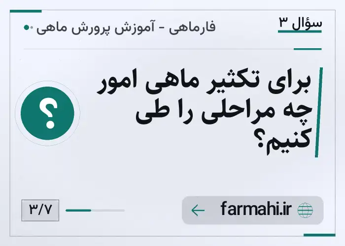 برای تکثیر ماهی امور چه مراحلی را طی کنیم؟