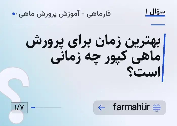 بهترین زمان برای پرورش ماهی کپور چه زمانی است؟