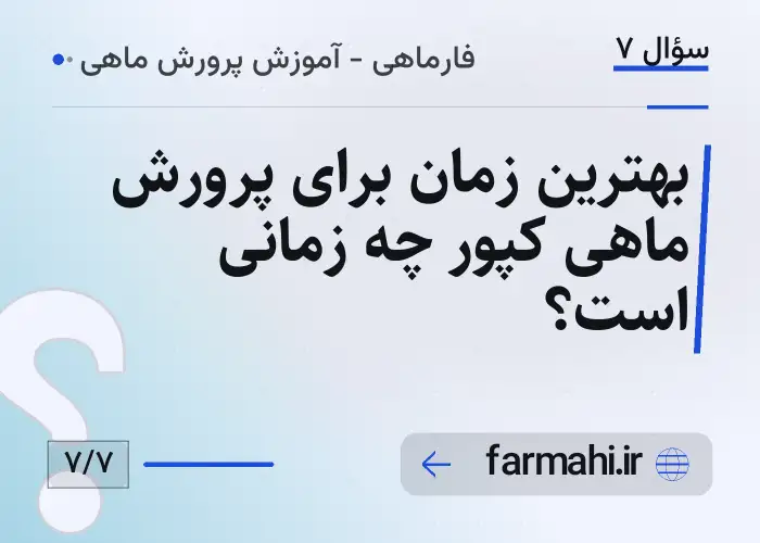 بهترین زمان برای پرورش ماهی کپور چه زمانی است؟