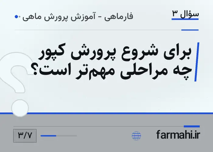 برای شروع پرورش کپور چه مراحلی مهم‌تر است؟