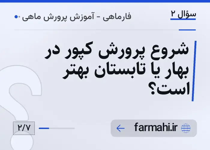 شروع پرورش کپور در بهار یا تابستان بهتر است؟