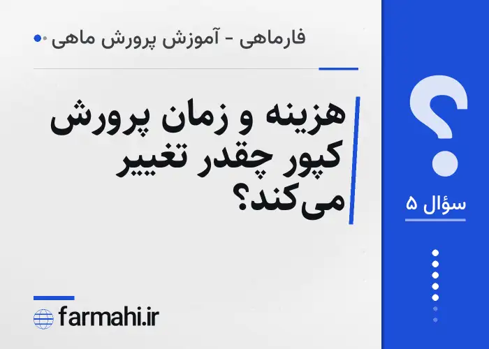 هزینه و زمان پرورش کپور چقدر تغییر می‌کند؟