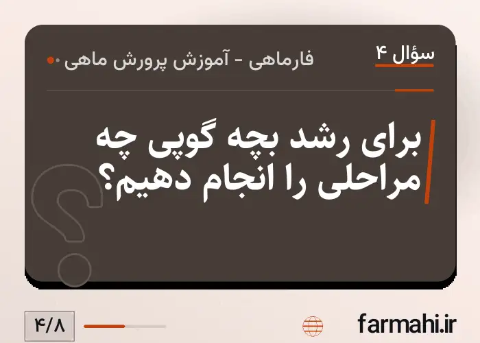 برای رشد بچه گوپی چه مراحلی را انجام دهیم؟