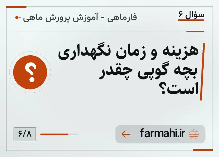 هزینه و زمان نگهداری بچه گوپی چقدر است؟
