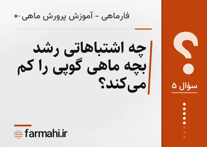 چه اشتباهاتی رشد بچه ماهی گوپی را کم می‌کند؟