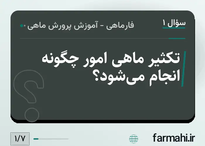 تکثیر ماهی امور چگونه انجام می‌شود؟