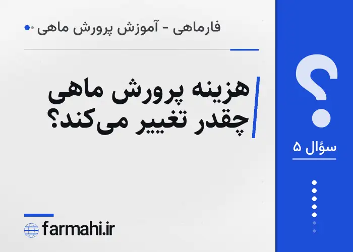 هزینه پرورش ماهی چقدر تغییر می‌کند؟