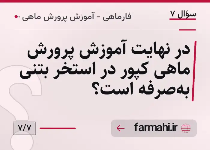 در نهایت آموزش پرورش ماهی کپور در استخر بتنی به‌صرفه است؟