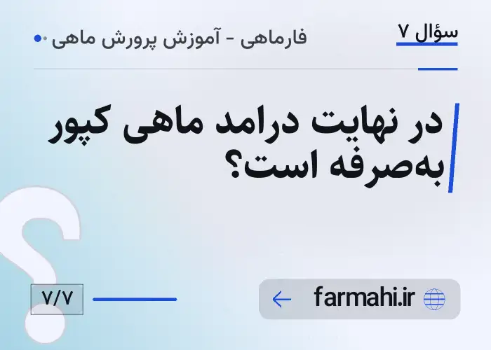 در نهایت درامد ماهی کپور به‌صرفه است؟
