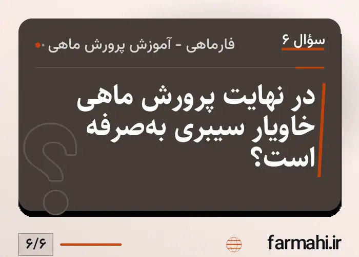 در نهایت پرورش ماهی خاویار سیبری به‌صرفه است؟