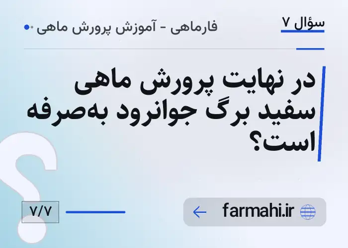در نهایت پرورش ماهی سفید برگ جوانرود به‌صرفه است؟