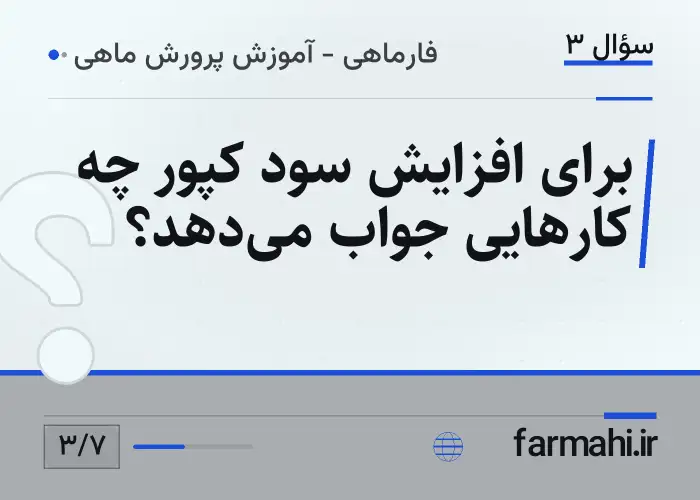 برای افزایش سود کپور چه کارهایی جواب می‌دهد؟