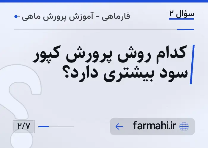 کدام روش پرورش کپور سود بیشتری دارد؟
