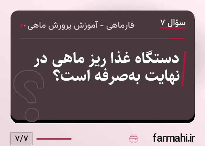 دستگاه غذا ریز ماهی در نهایت به‌صرفه است؟