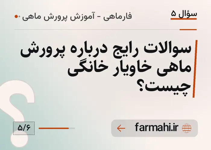 سوالات رایج درباره پرورش ماهی خاویار خانگی چیست؟