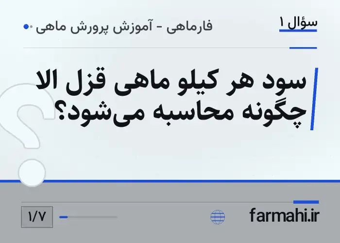 سود هر کیلو ماهی قزل الا چگونه محاسبه می‌شود؟