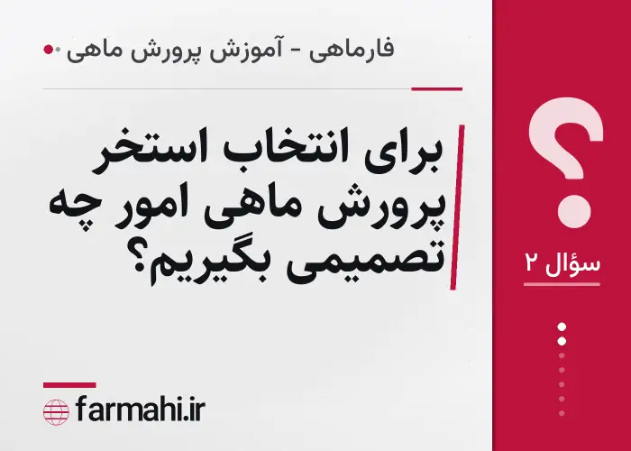 برای انتخاب استخر پرورش ماهی امور چه تصمیمی بگیریم؟