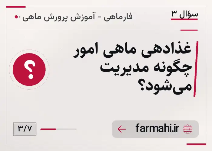 غذادهی ماهی امور چگونه مدیریت می‌شود؟