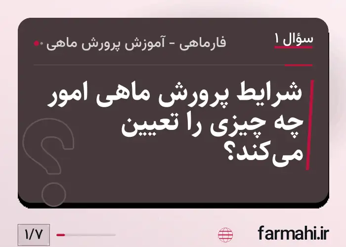 شرایط پرورش ماهی امور چه چیزی را تعیین می‌کند؟