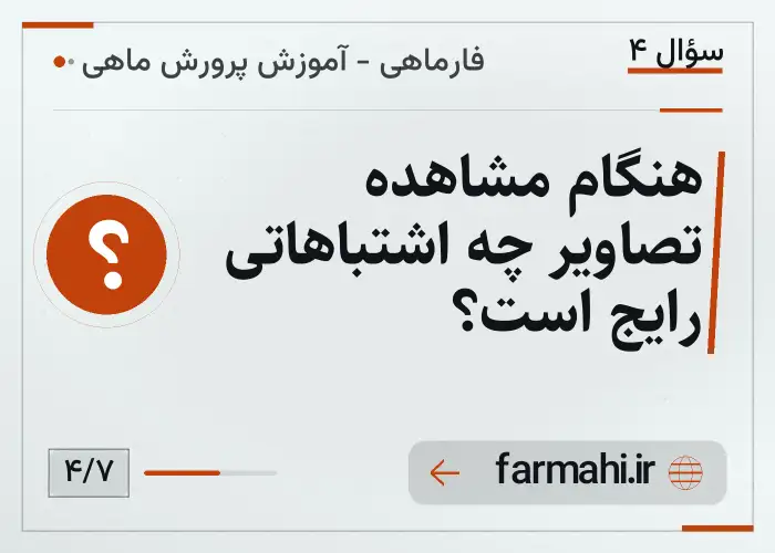 هنگام مشاهده تصاویر چه اشتباهاتی رایج است؟