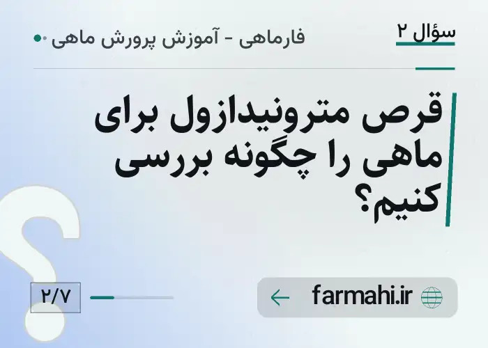 قرص مترونیدازول برای ماهی را چگونه بررسی کنیم؟