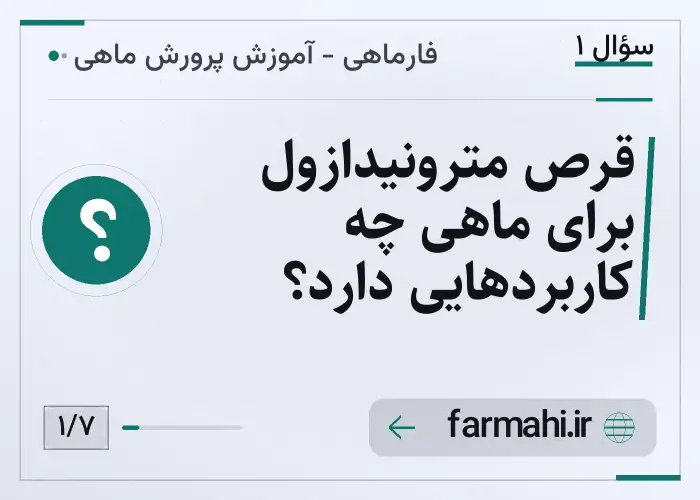قرص مترونیدازول برای ماهی چه کاربردهایی دارد؟