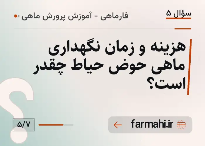 هزینه و زمان نگهداری ماهی حوض حیاط چقدر است؟