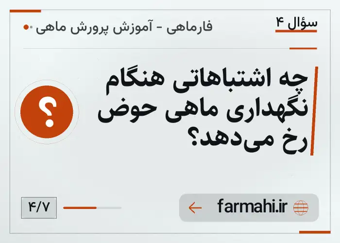 چه اشتباهاتی هنگام نگهداری ماهی حوض رخ می‌دهد؟