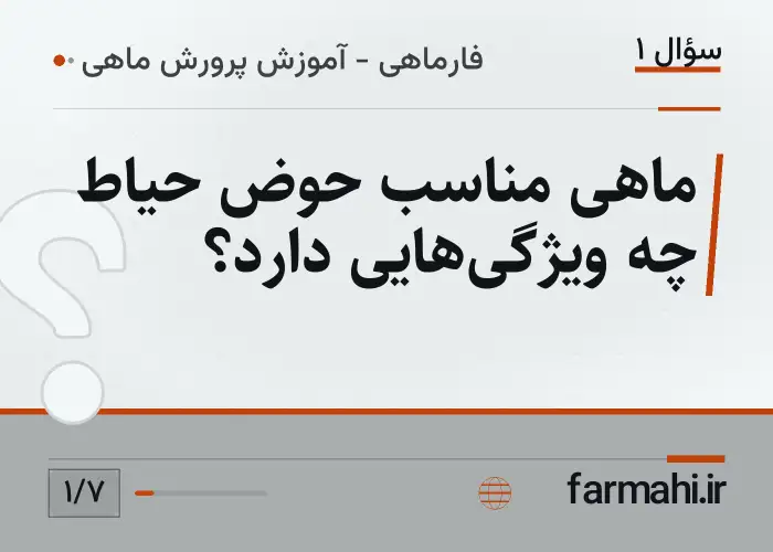 ماهی مناسب حوض حیاط چه ویژگی‌هایی دارد؟