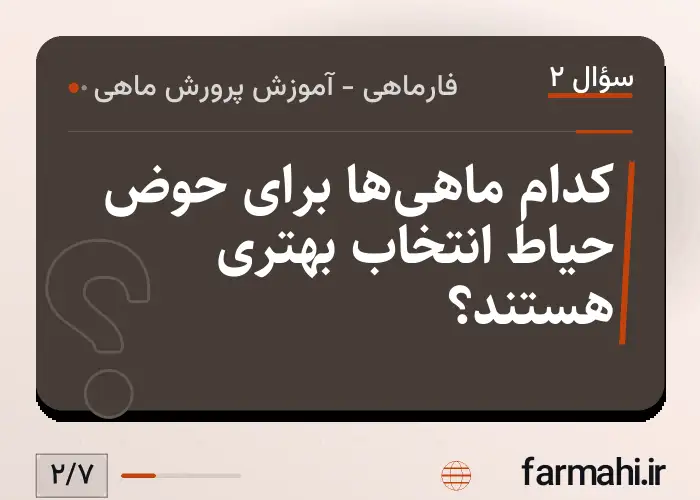 کدام ماهی‌ها برای حوض حیاط انتخاب بهتری هستند؟