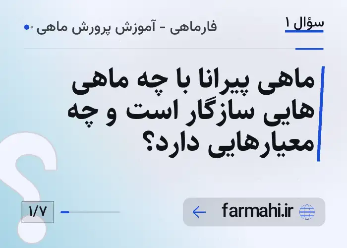 ماهی پیرانا با چه ماهی هایی سازگار است و چه معیارهایی دارد؟