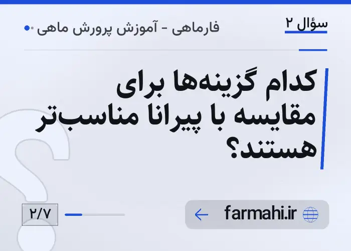 کدام گزینه‌ها برای مقایسه با پیرانا مناسب‌تر هستند؟