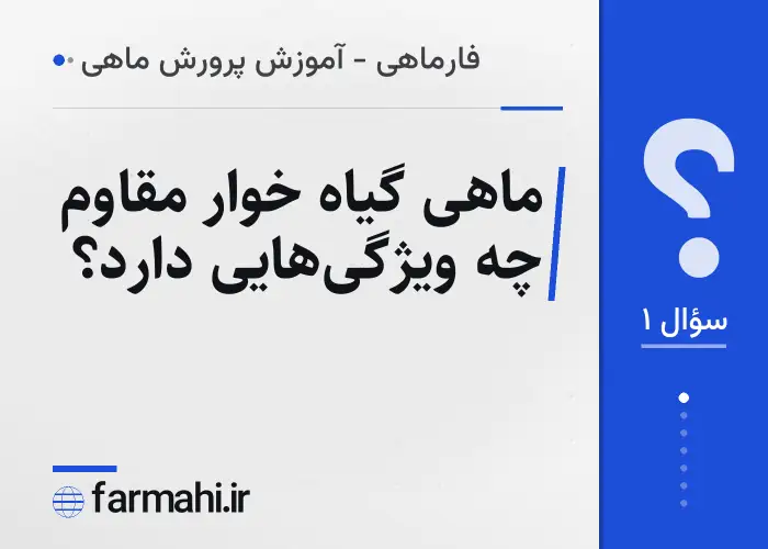 ماهی گیاه خوار مقاوم چه ویژگی‌هایی دارد؟