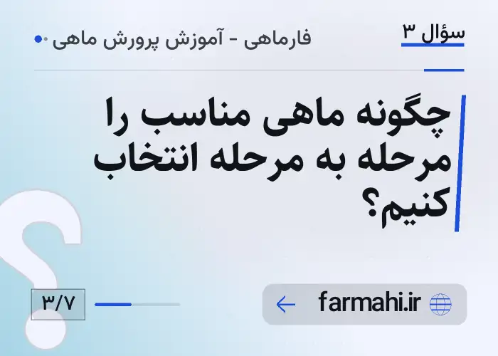 چگونه ماهی مناسب را مرحله به مرحله انتخاب کنیم؟