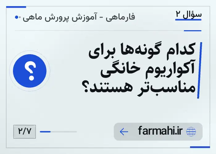 کدام گونه‌ها برای آکواریوم خانگی مناسب‌تر هستند؟