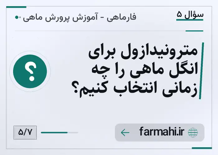 مترونیدازول برای انگل ماهی را چه زمانی انتخاب کنیم؟
