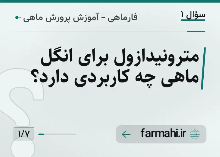 مترونیدازول برای انگل ماهی چه کاربردی دارد؟