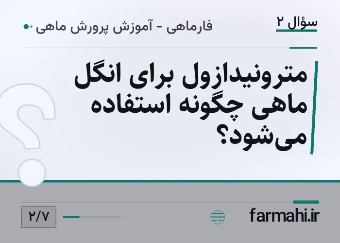 مترونیدازول برای انگل ماهی چگونه استفاده می‌شود؟